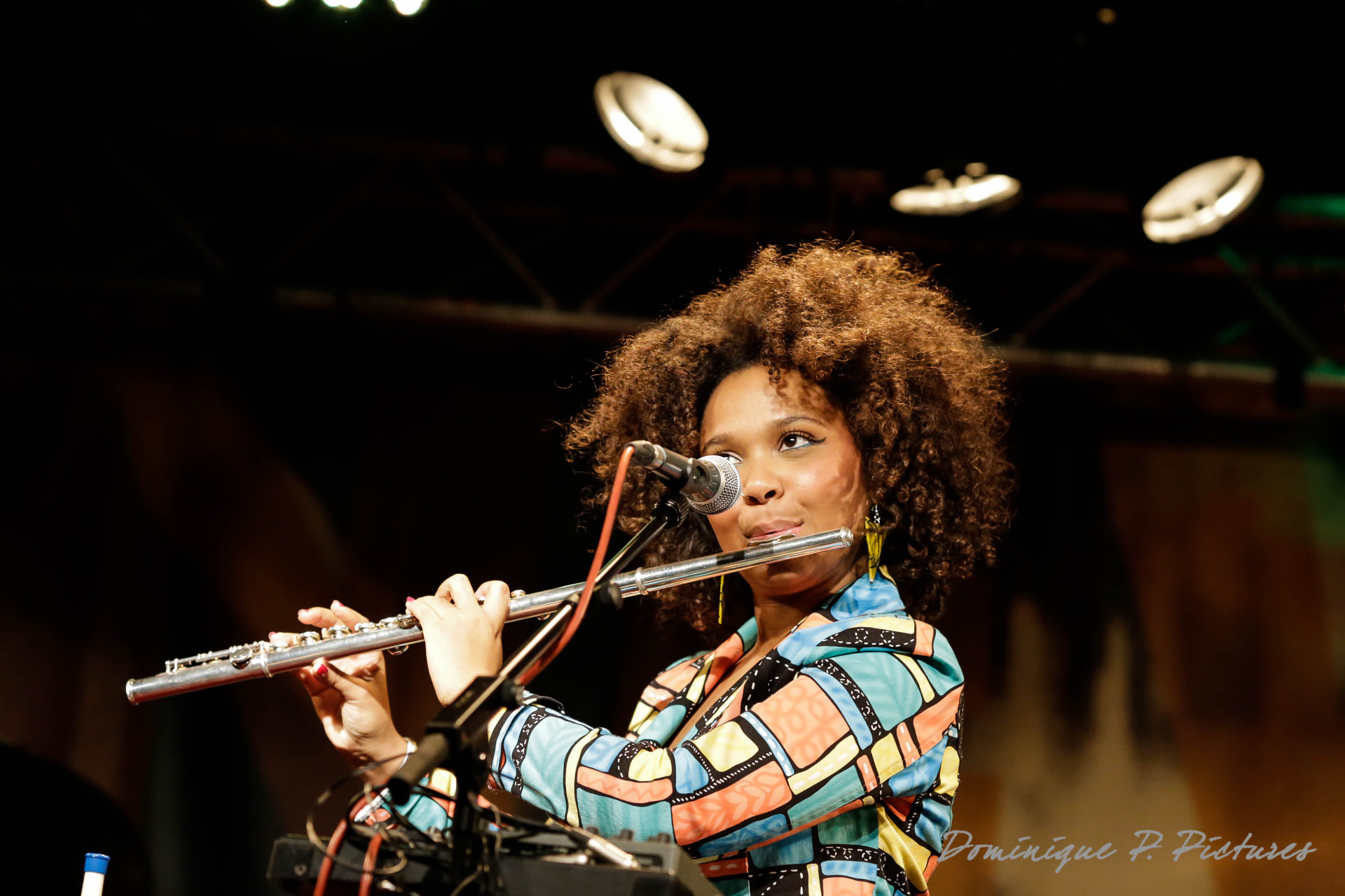 Flûtiste — Photographie de concert — 2015