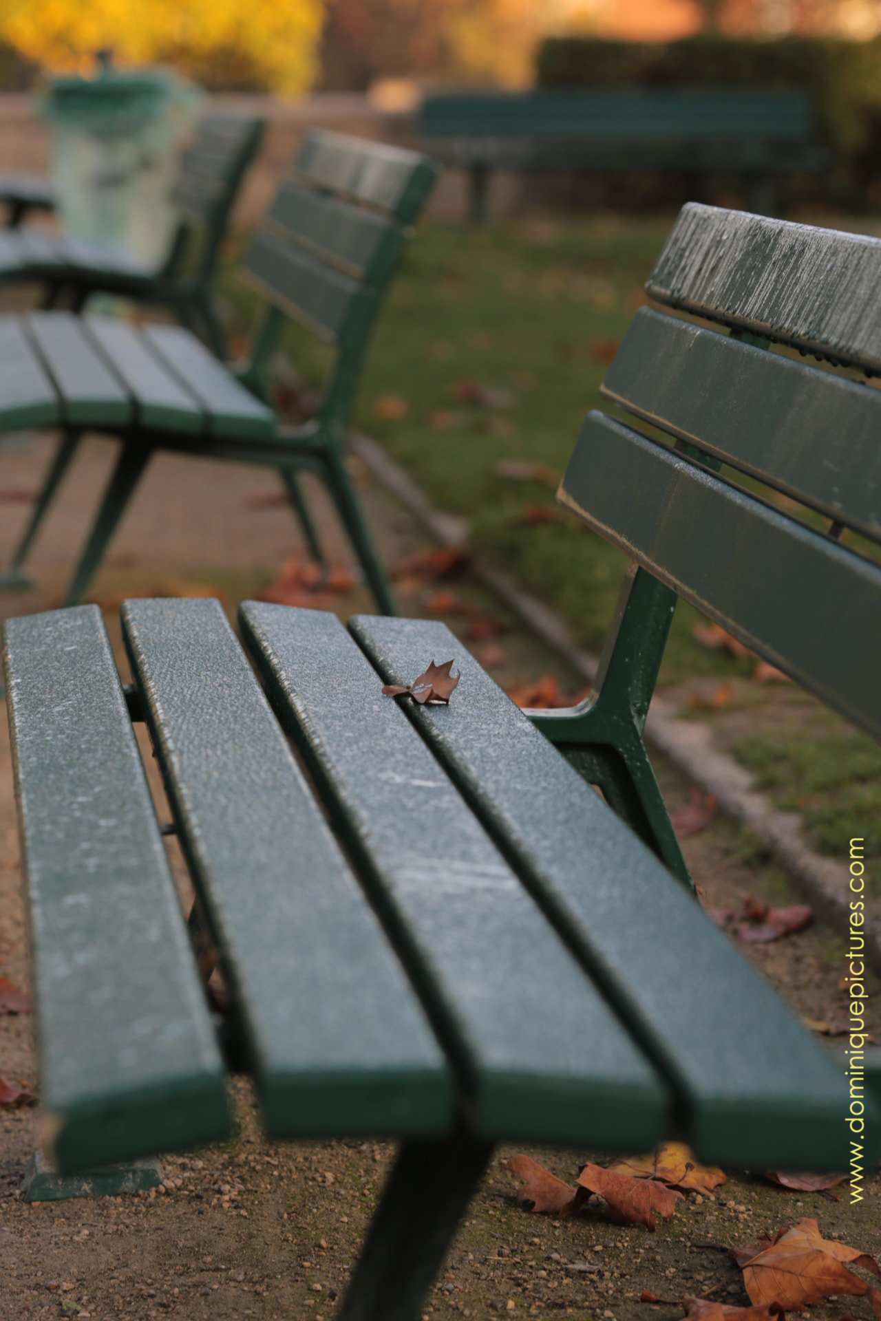 Bancs d'automne — Photographie, Paris — 2016
